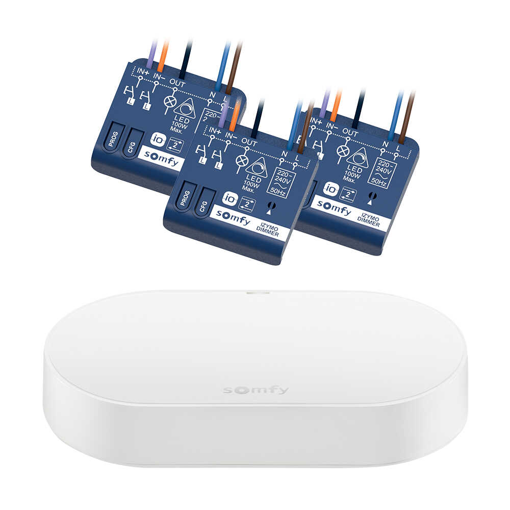 Zestaw: Connectivity kit + Odbiornik IZYMO Dimmer io on/off - 1870755-3x1822663-zestaw - 1 - Somfy