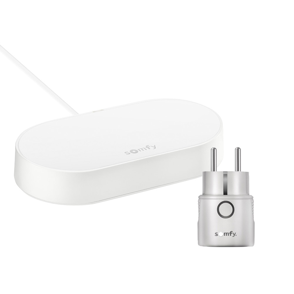 Connectivity kit + Somfy Plug io F-Type - B1870755-EU-2 - 1 - Somfy