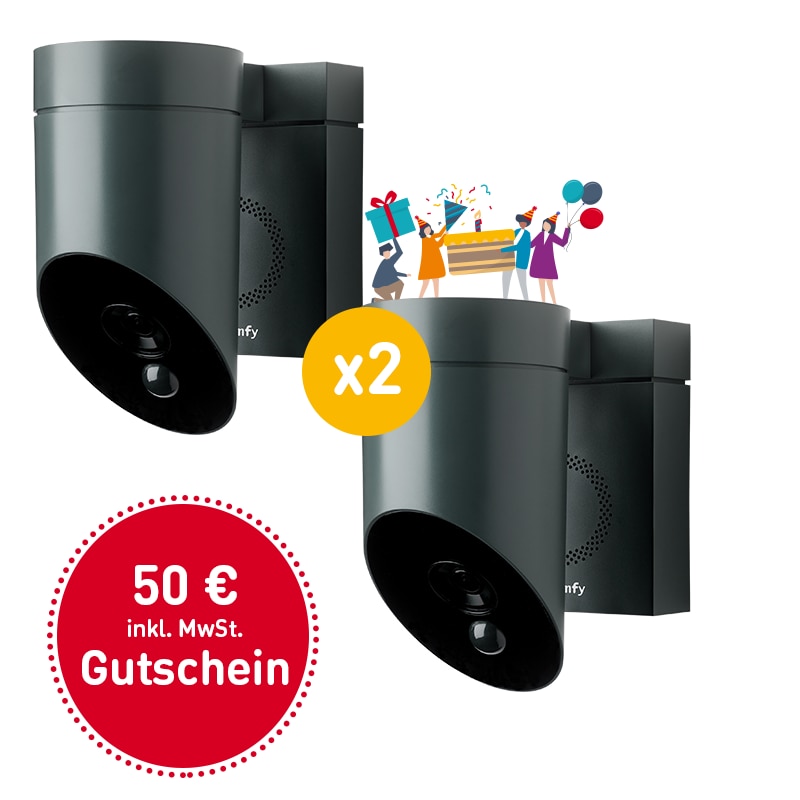 Somfy® Überwachungskamera inkl. Sirene grau im 2er-Pack - 201155 - 1 - Somfy